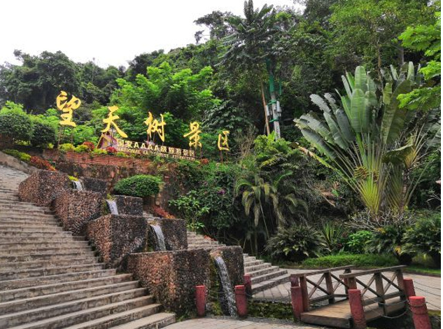 西双版纳热带雨林国家公园·望天树景区，.png